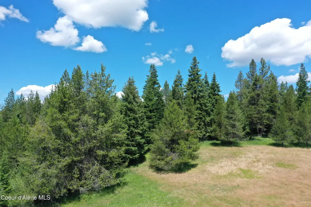 Parcel 200 Owl Creek Road Lane St. Maries ID 83861