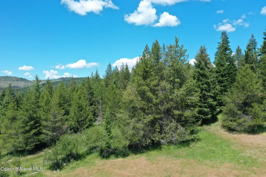 Parcel 200 Owl Creek Road Lane St. Maries ID 83861