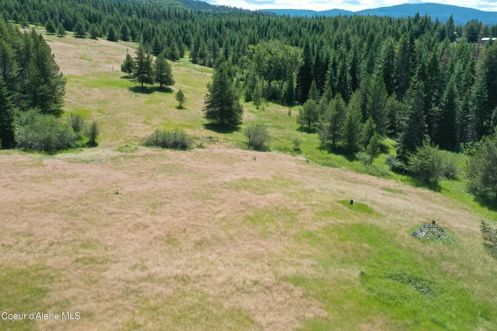 Parcel 200 Owl Creek Road Lane St. Maries ID 83861