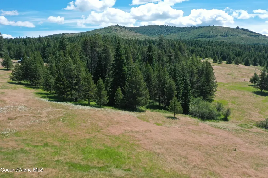 Parcel 200 Owl Creek Road Lane St. Maries ID 83861