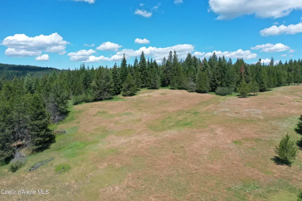 Parcel 200 Owl Creek Road Lane St. Maries ID 83861
