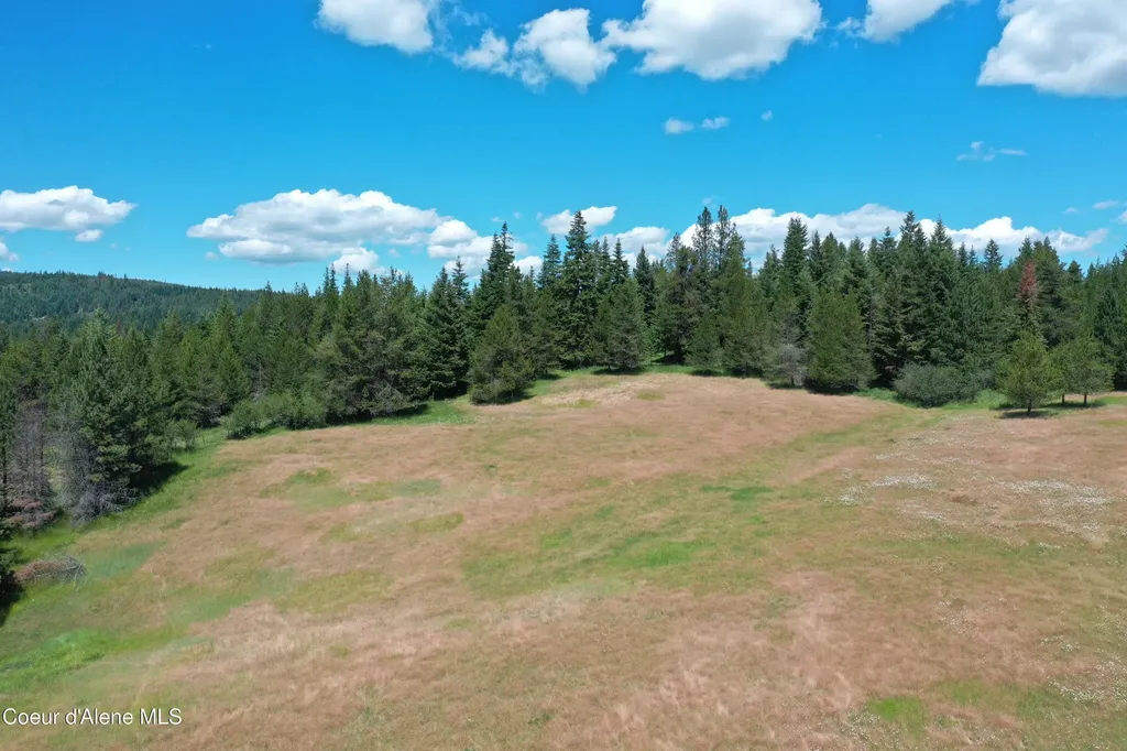 Parcel 200 Owl Creek Road Lane St. Maries ID 83861