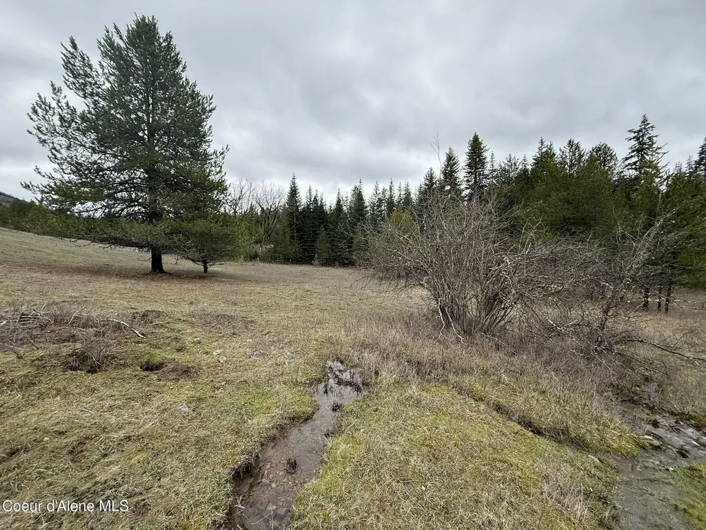 Nka Owl Creek Lane St. Maries ID 83861