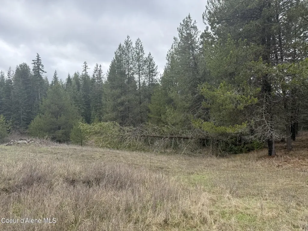 Nka Owl Creek Lane St. Maries ID 83861