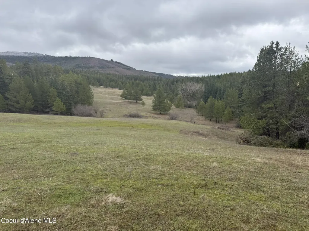 Nka Owl Creek Lane St. Maries ID 83861