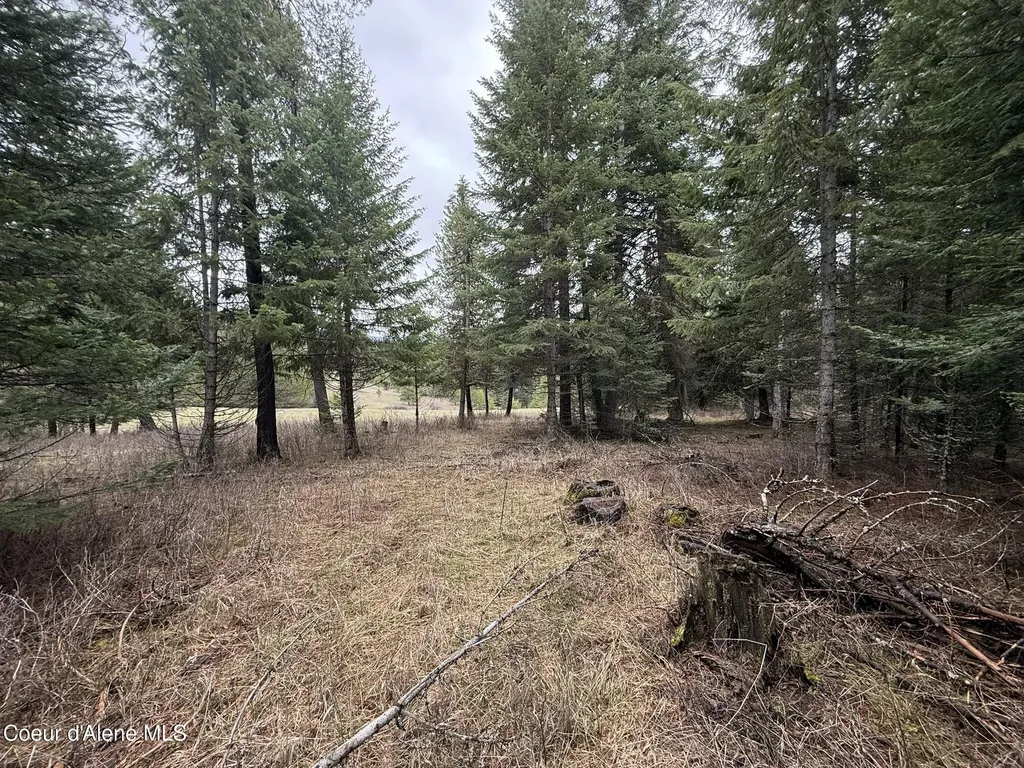 Nka Owl Creek Lane St. Maries ID 83861