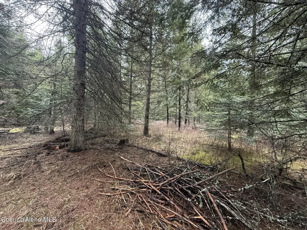 Nka Owl Creek Lane St. Maries ID 83861