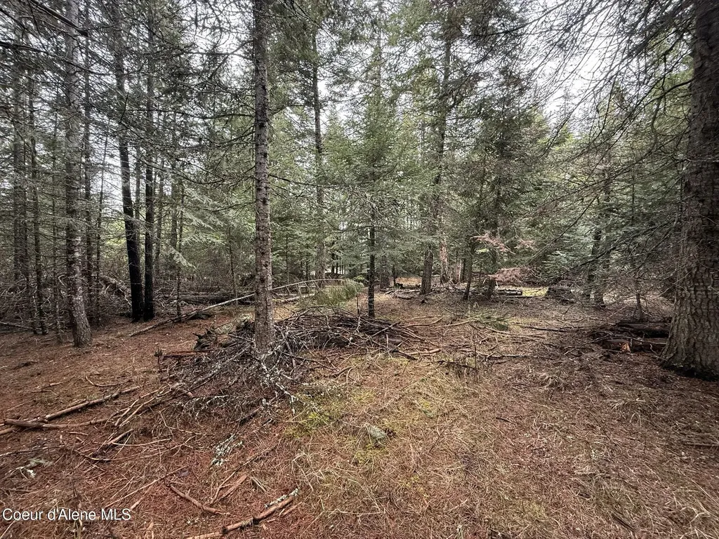 Nka Owl Creek Lane St. Maries ID 83861