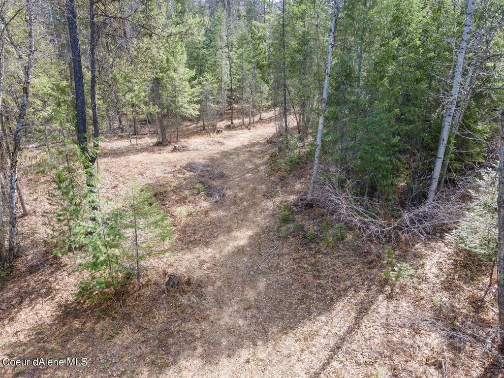 762 Geenen Road Cocolalla ID 83813