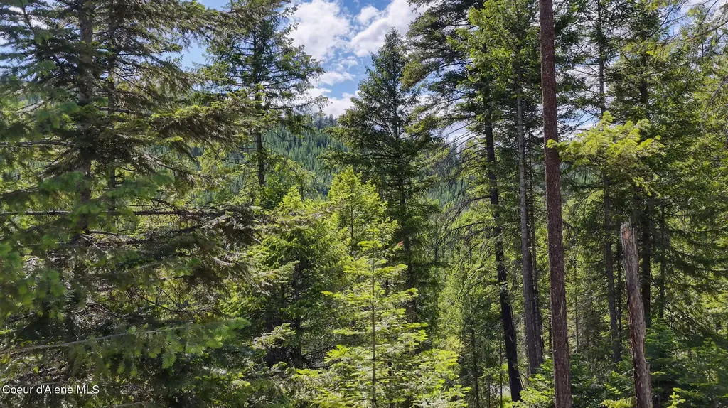 Nna Old Highway Two Loop Moyie Springs ID 83845