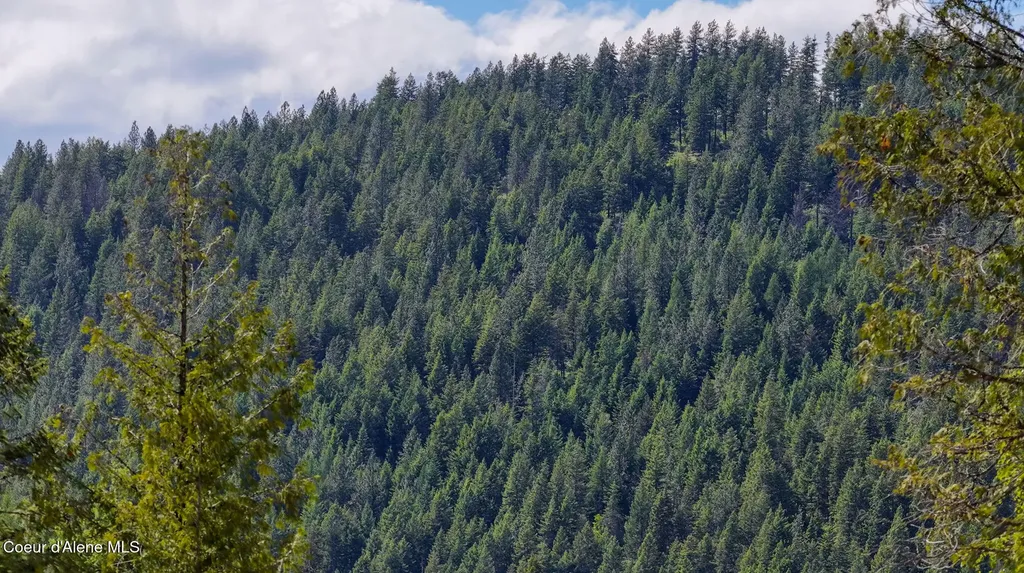 Nna Old Highway Two Loop Moyie Springs ID 83845