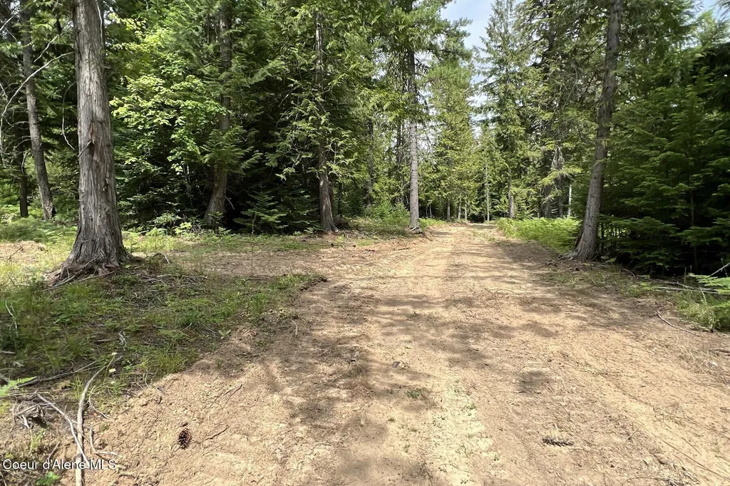 111 Wrenco Loop Road Sandpoint ID 83864