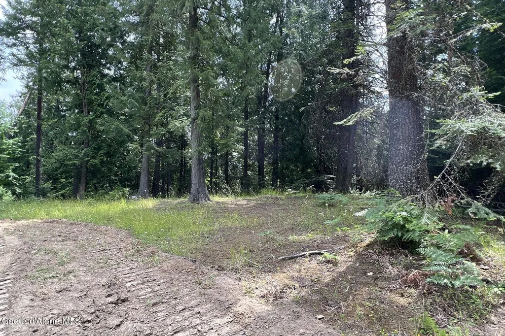 111 Wrenco Loop Road Sandpoint ID 83864