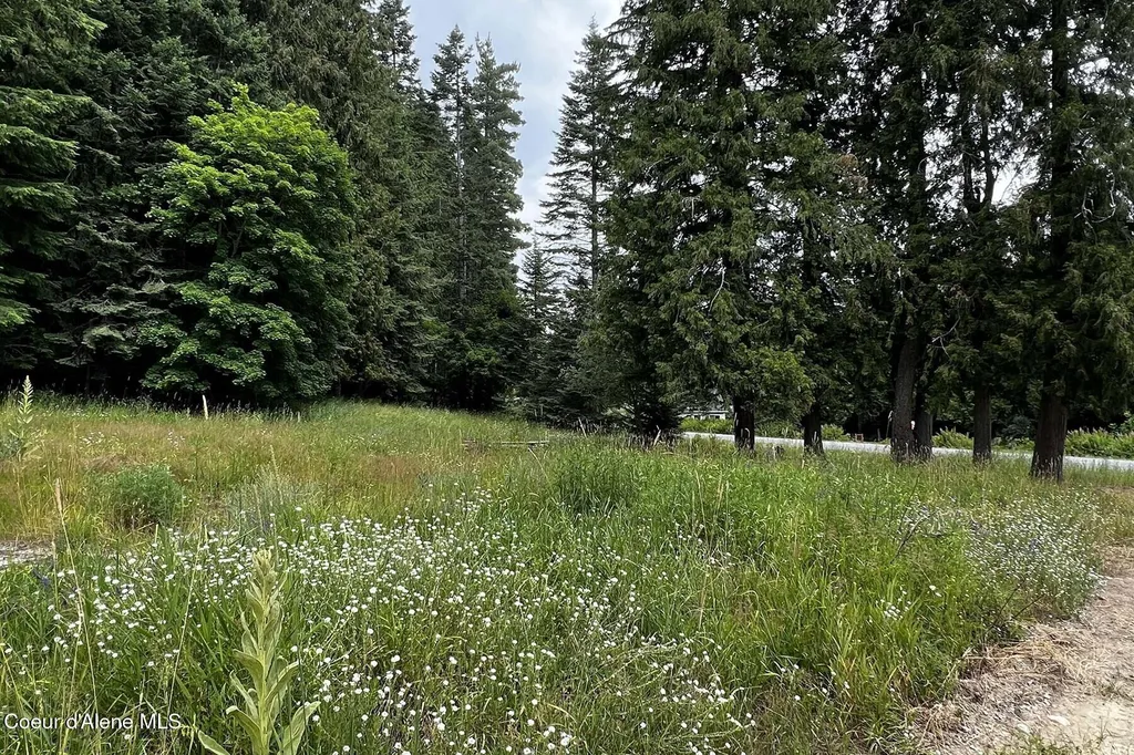 111 Wrenco Loop Road Sandpoint ID 83864