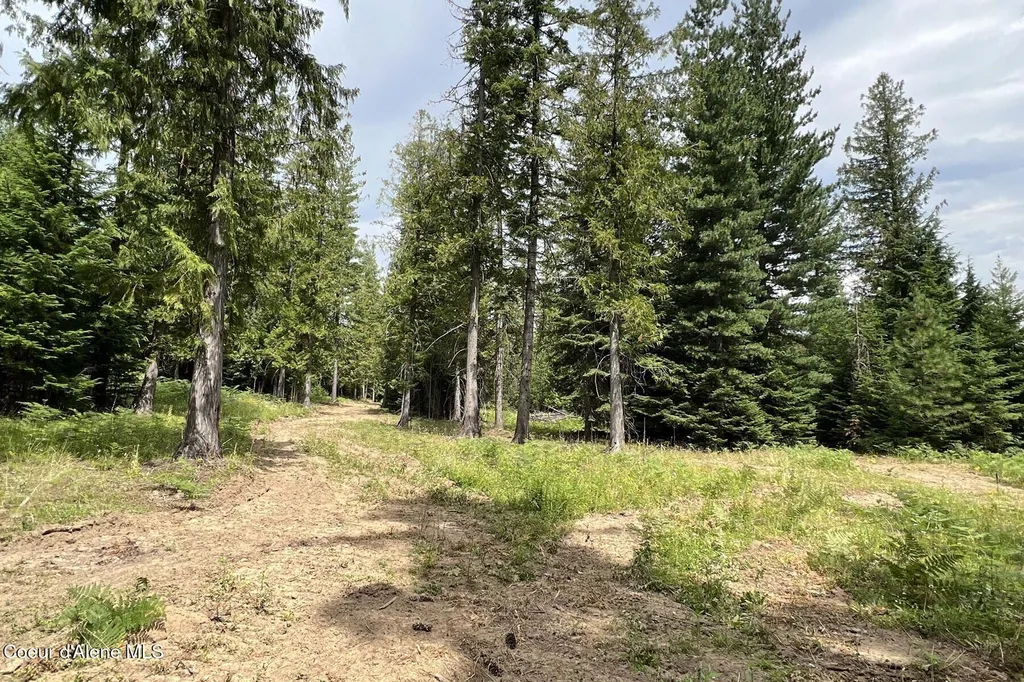 111 Wrenco Loop Road Sandpoint ID 83864