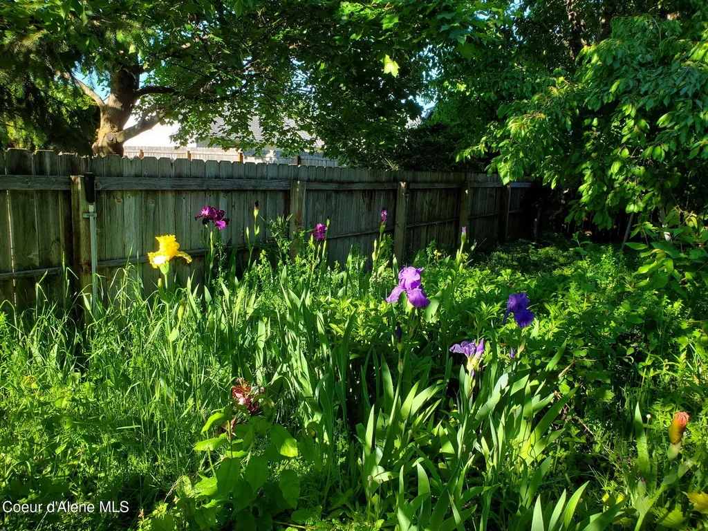 1019 W Starling Avenue Hayden ID 83835