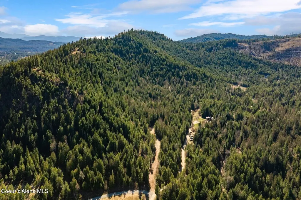 Lots 1, 2, 3 & 4 Cedar Acres Priest River ID 83856