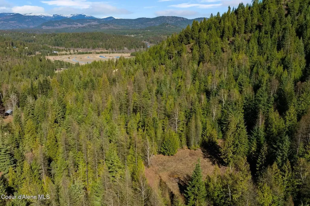 Lots 1, 2, 3 & 4 Cedar Acres Priest River ID 83856