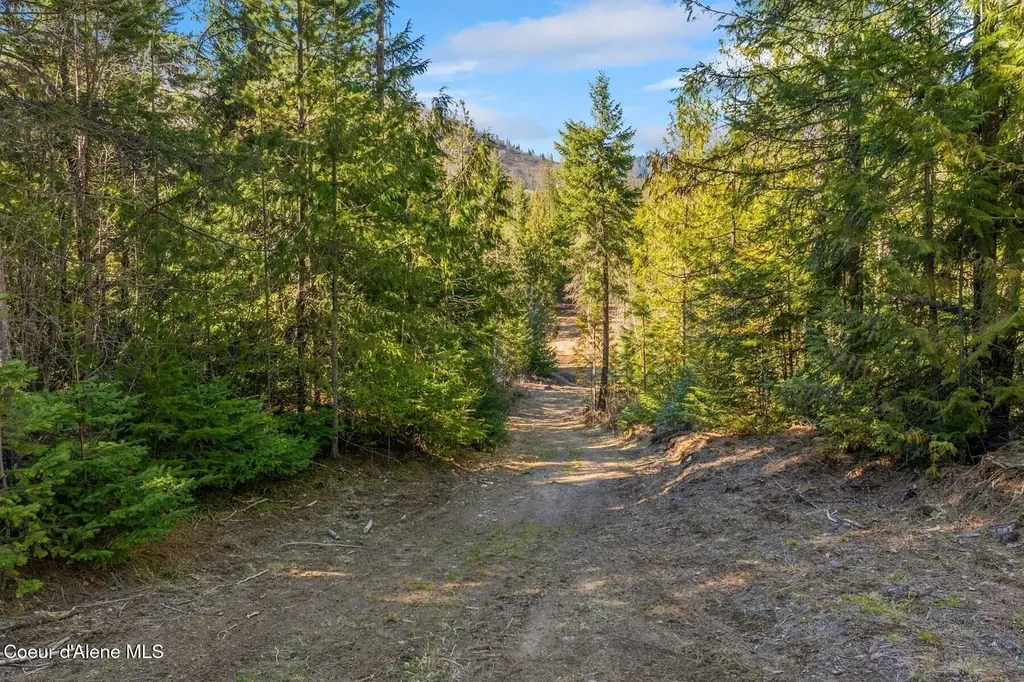 Lots 1, 2, 3 & 4 Cedar Acres Priest River ID 83856