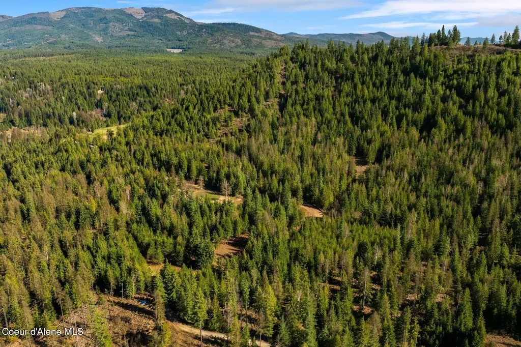 Lots 1, 2, 3 & 4 Cedar Acres Priest River ID 83856