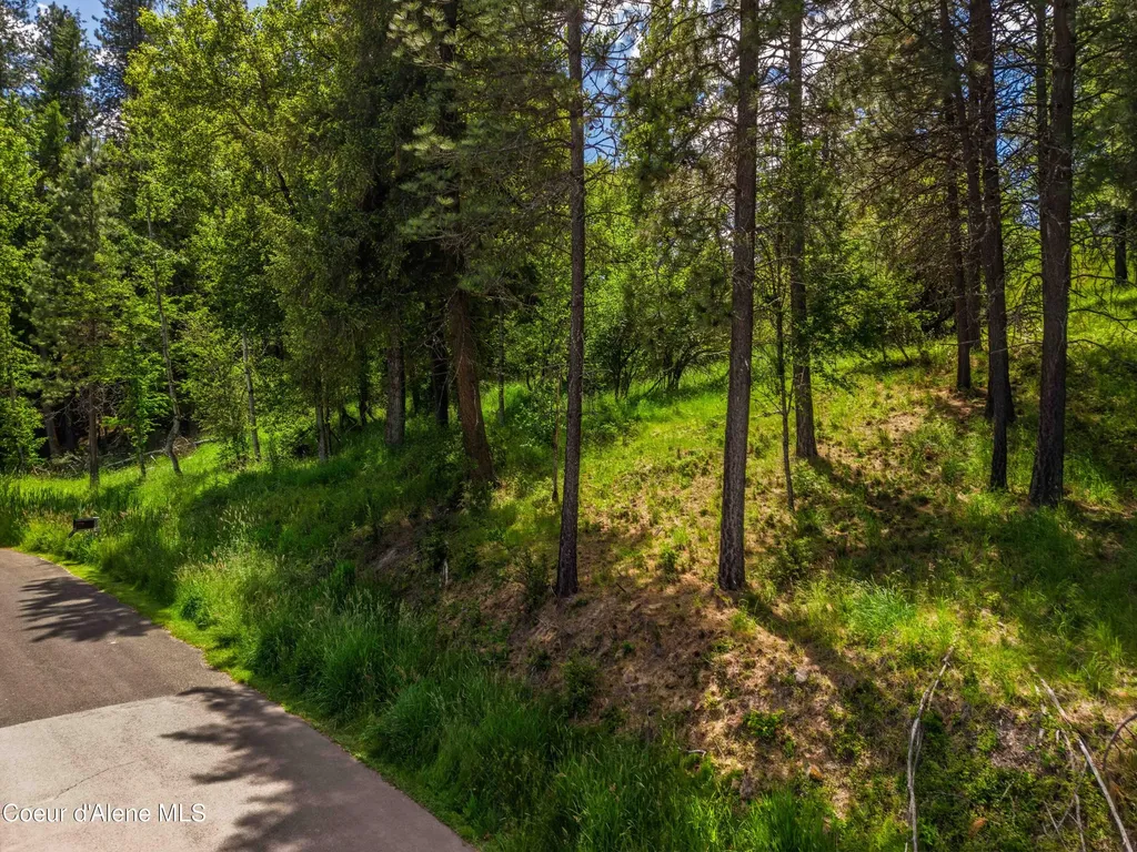 Lot 36, 37 Park Drive St. Maries ID 83861