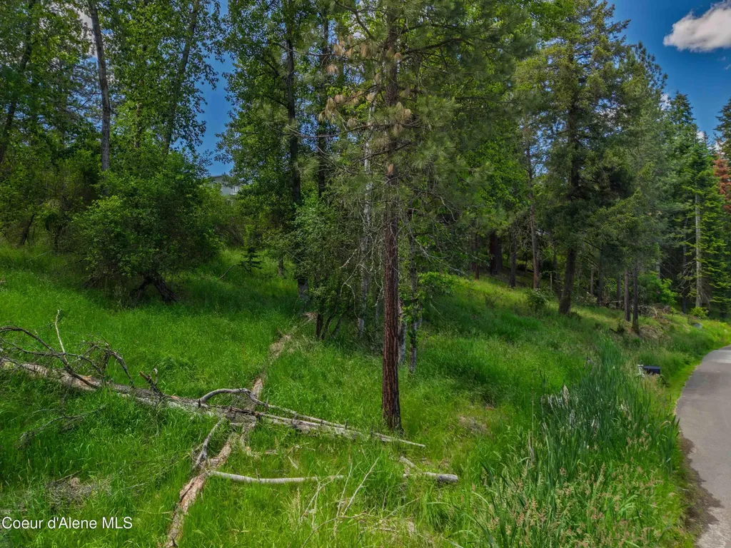 Lot 36, 37 Park Drive St. Maries ID 83861