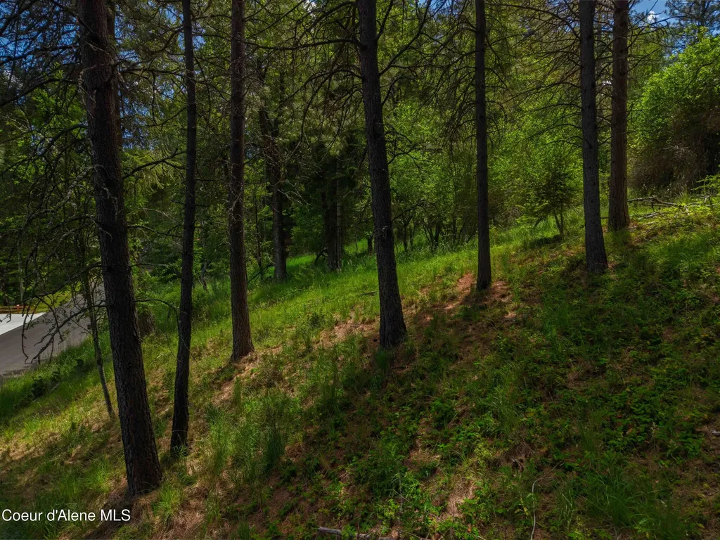 Lot 36, 37 Park Drive St. Maries ID 83861