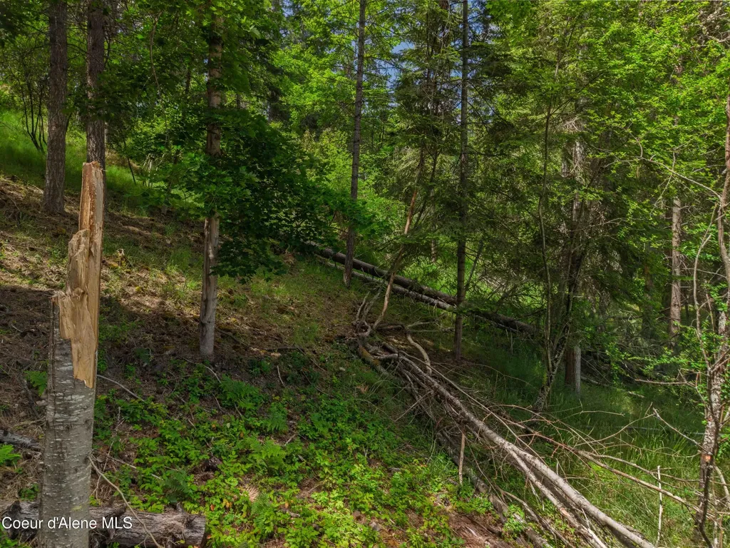 Lot 36, 37 Park Drive St. Maries ID 83861