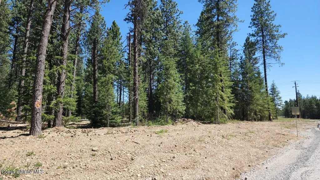 Nna Lot 4 Tj Trail Athol ID 83801