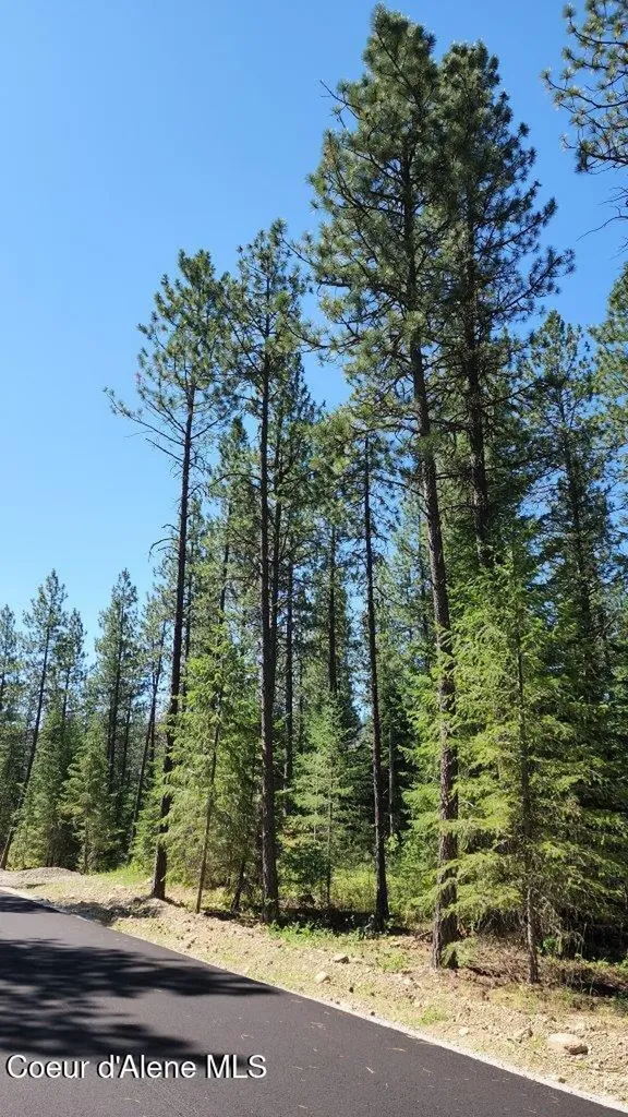 Nna Lot 4 Tj Trail Athol ID 83801