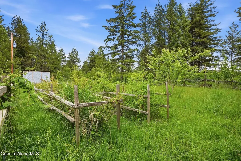 890 Pokey Creek Road St. Maries ID 83861
