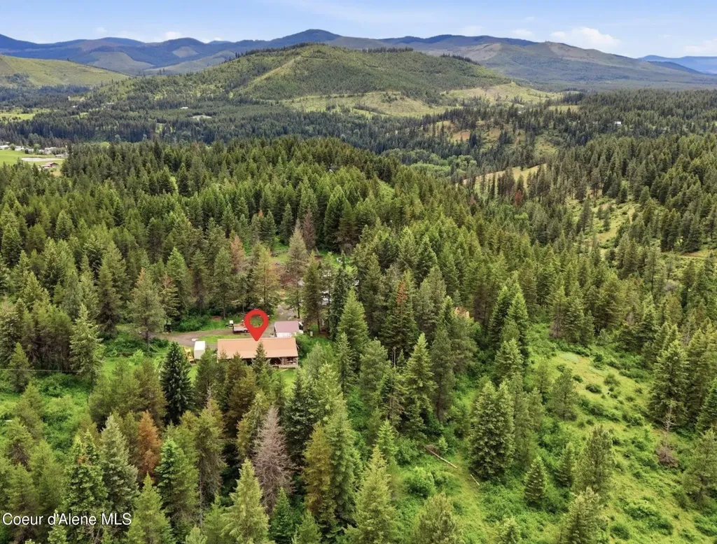 890 Pokey Creek Road St. Maries ID 83861