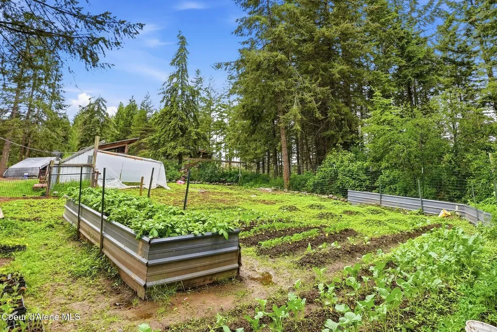 890 Pokey Creek Road St. Maries ID 83861