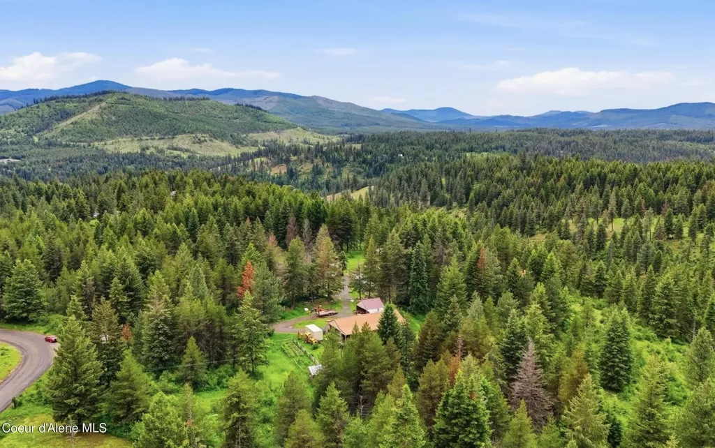 890 Pokey Creek Road St. Maries ID 83861