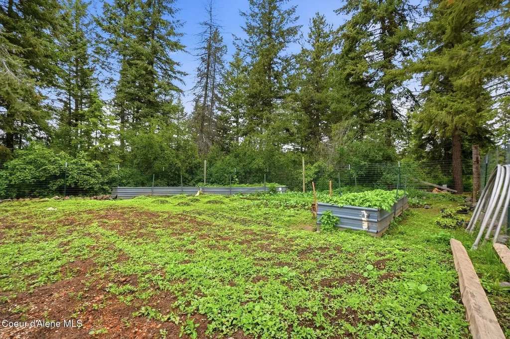890 Pokey Creek Road St. Maries ID 83861