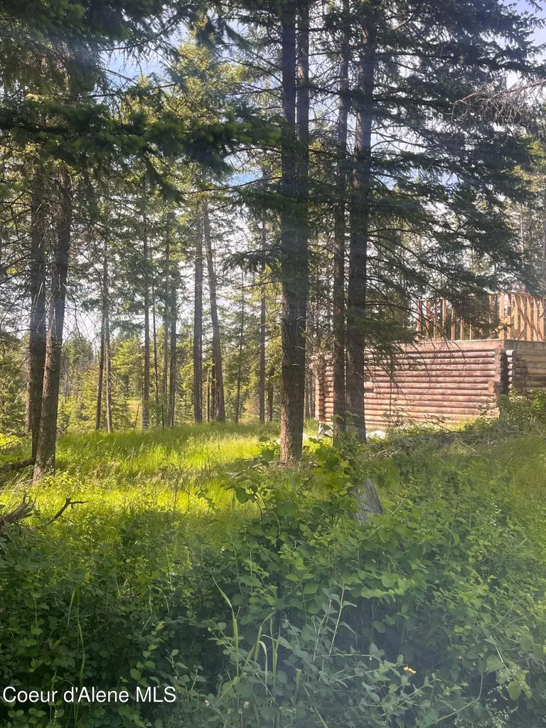 890 Pokey Creek Road St. Maries ID 83861