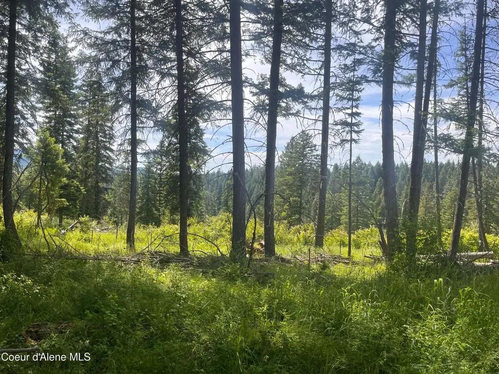 890 Pokey Creek Road St. Maries ID 83861