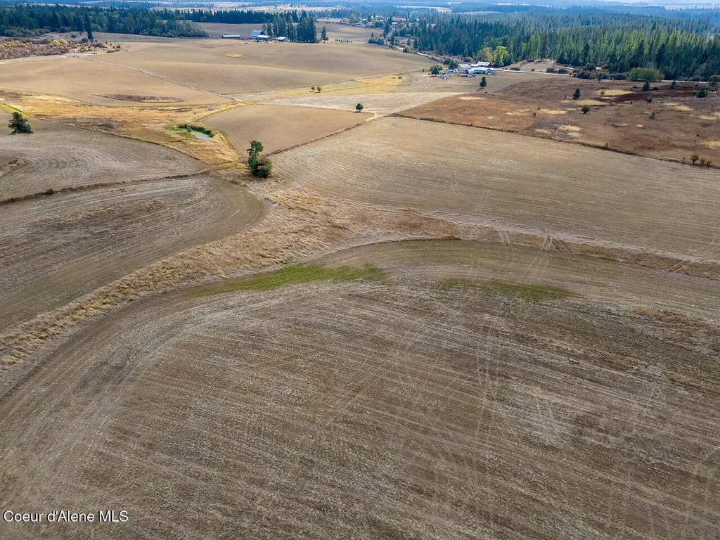 E Van Dusen Road Harrison ID 83833