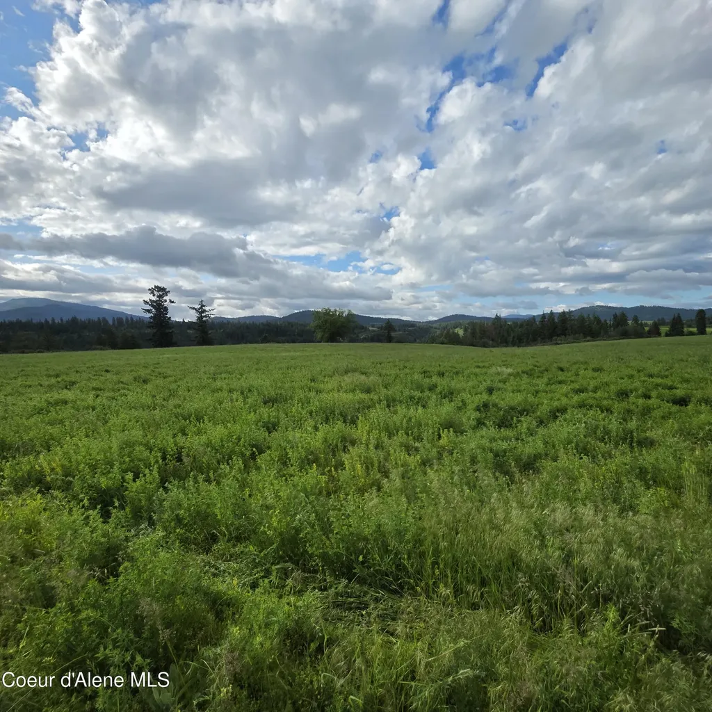 Nka 4 Sunrise Drive Harrison ID 83833