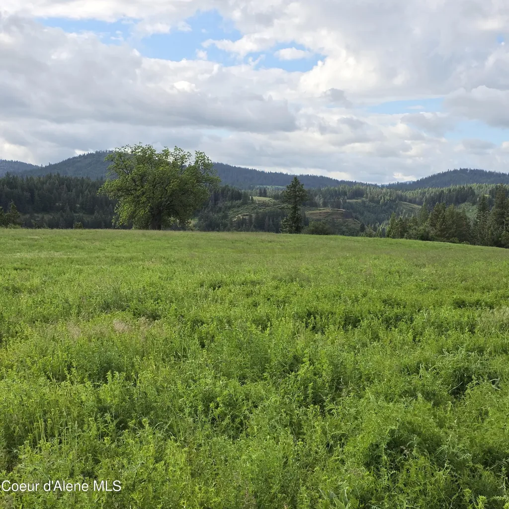 Nka 4 Sunrise Drive Harrison ID 83833