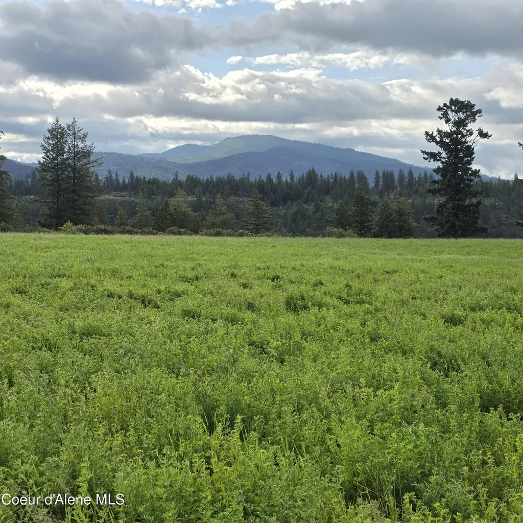 Nka 4 Sunrise Drive Harrison ID 83833