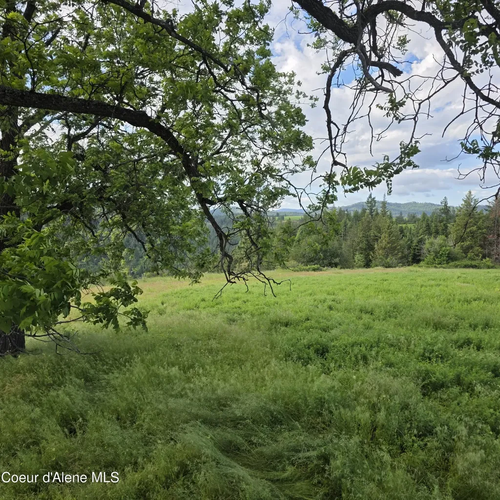 Nka 4 Sunrise Drive Harrison ID 83833