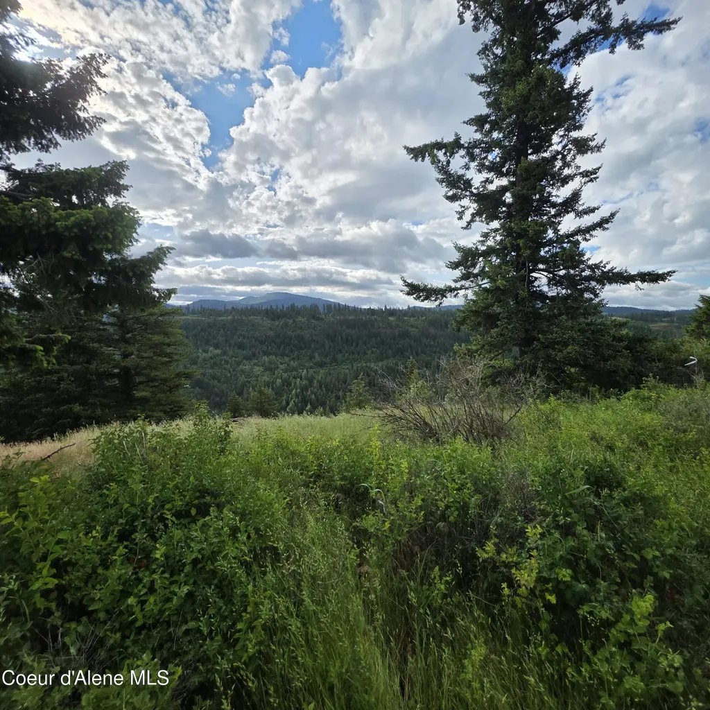 Nka 4 Sunrise Drive Harrison ID 83833