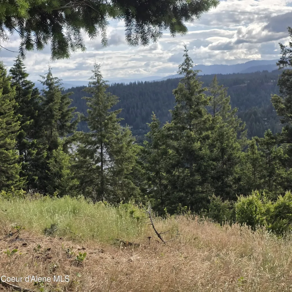 Nka 4 Sunrise Drive Harrison ID 83833