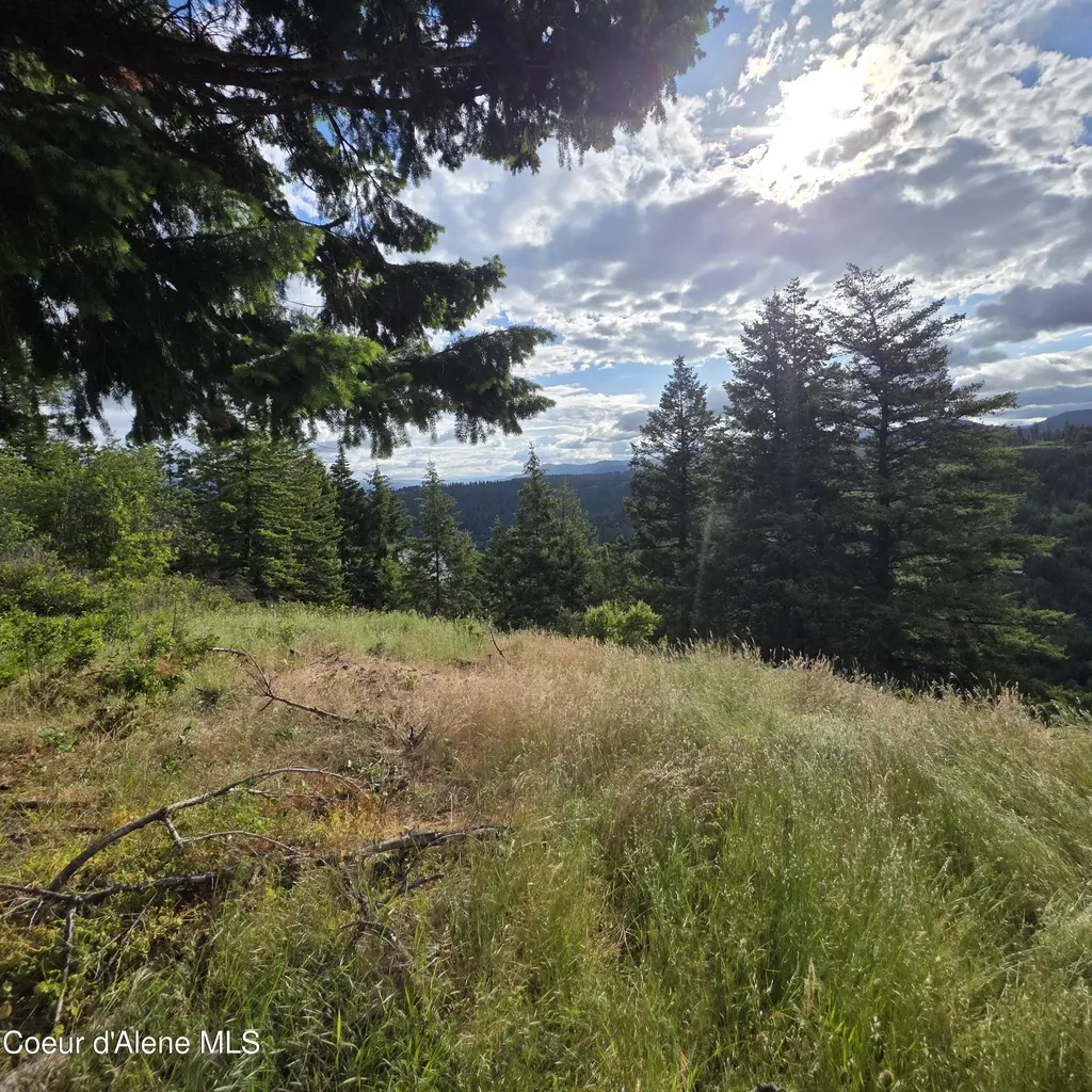 Nka 4 Sunrise Drive Harrison ID 83833