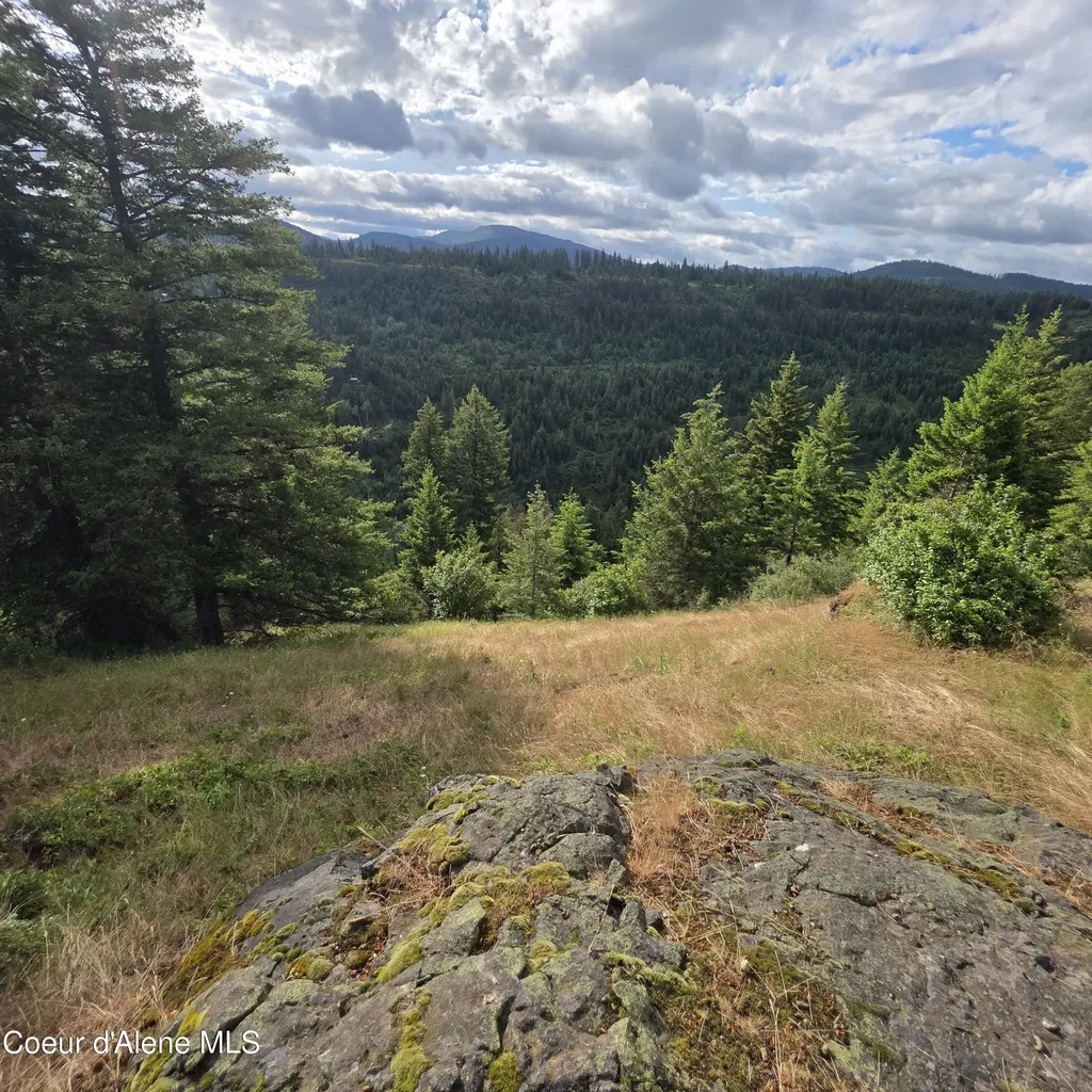 Nka 4 Sunrise Drive Harrison ID 83833