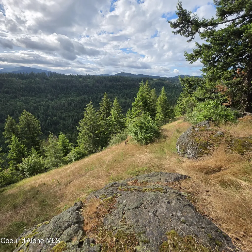 Nka 4 Sunrise Drive Harrison ID 83833