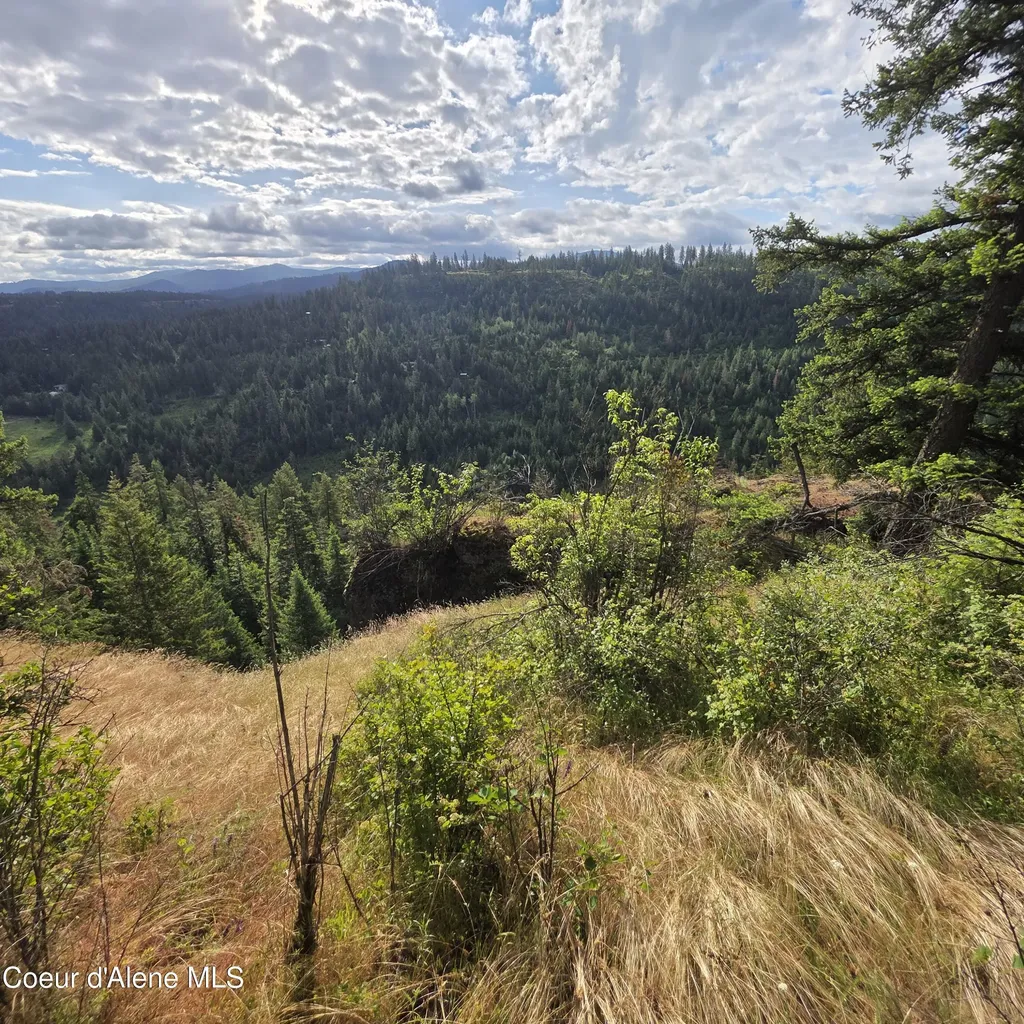 Nka 4 Sunrise Drive Harrison ID 83833