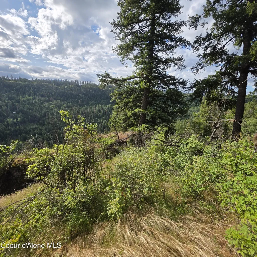 Nka 4 Sunrise Drive Harrison ID 83833