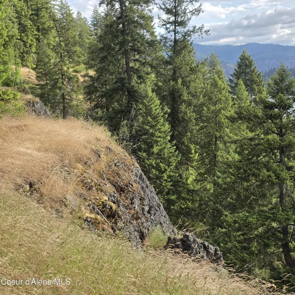 Nka 4 Sunrise Drive Harrison ID 83833